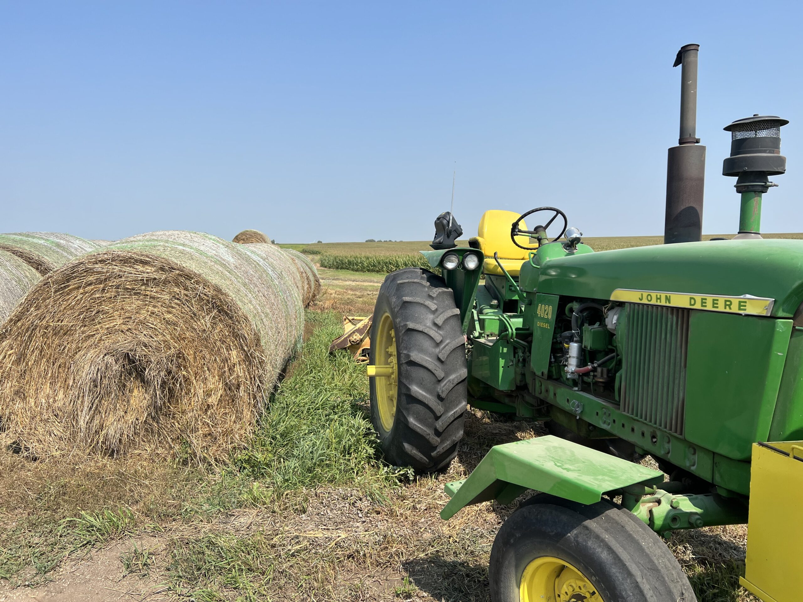 grain buyers