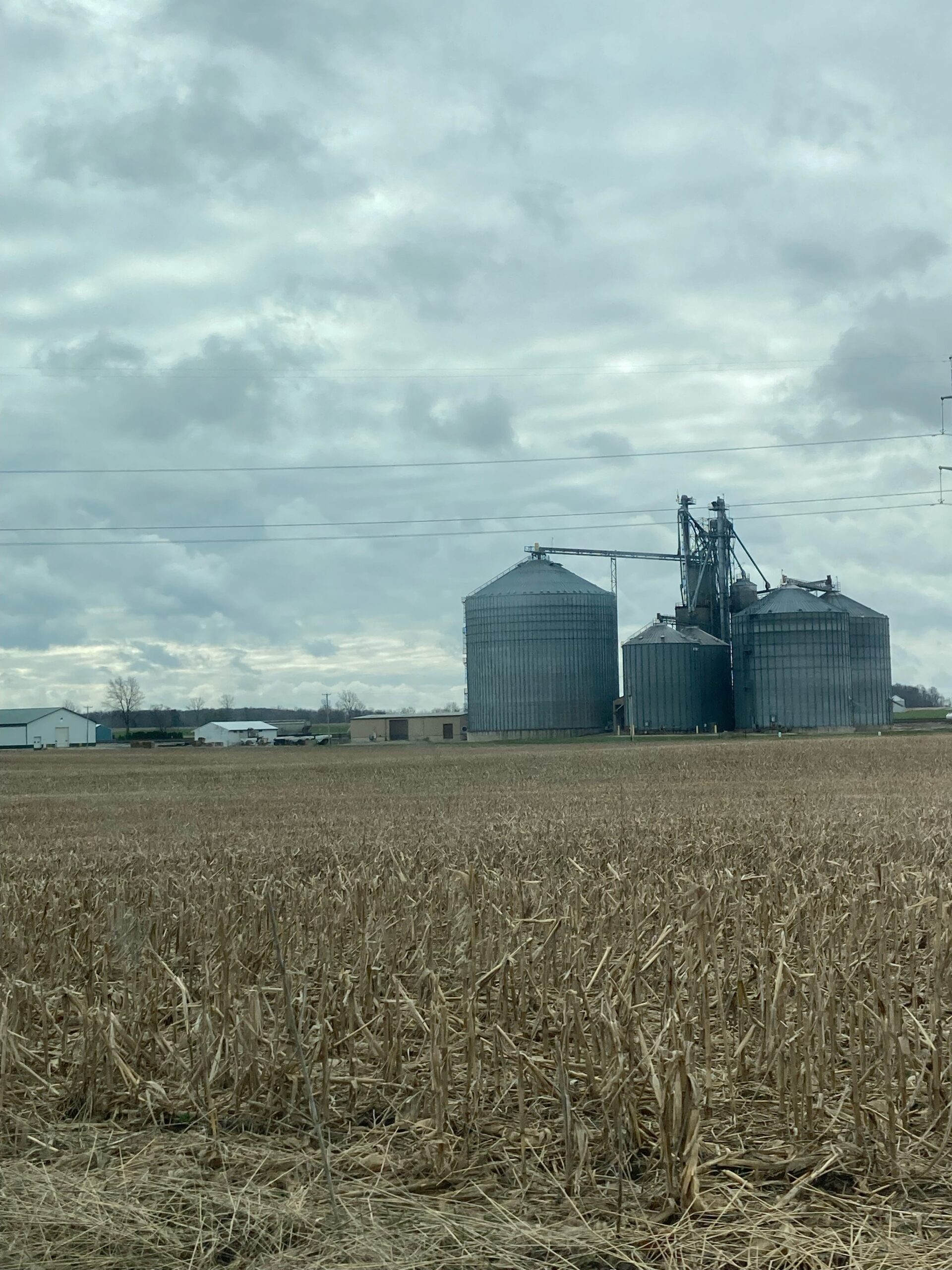 grain farming