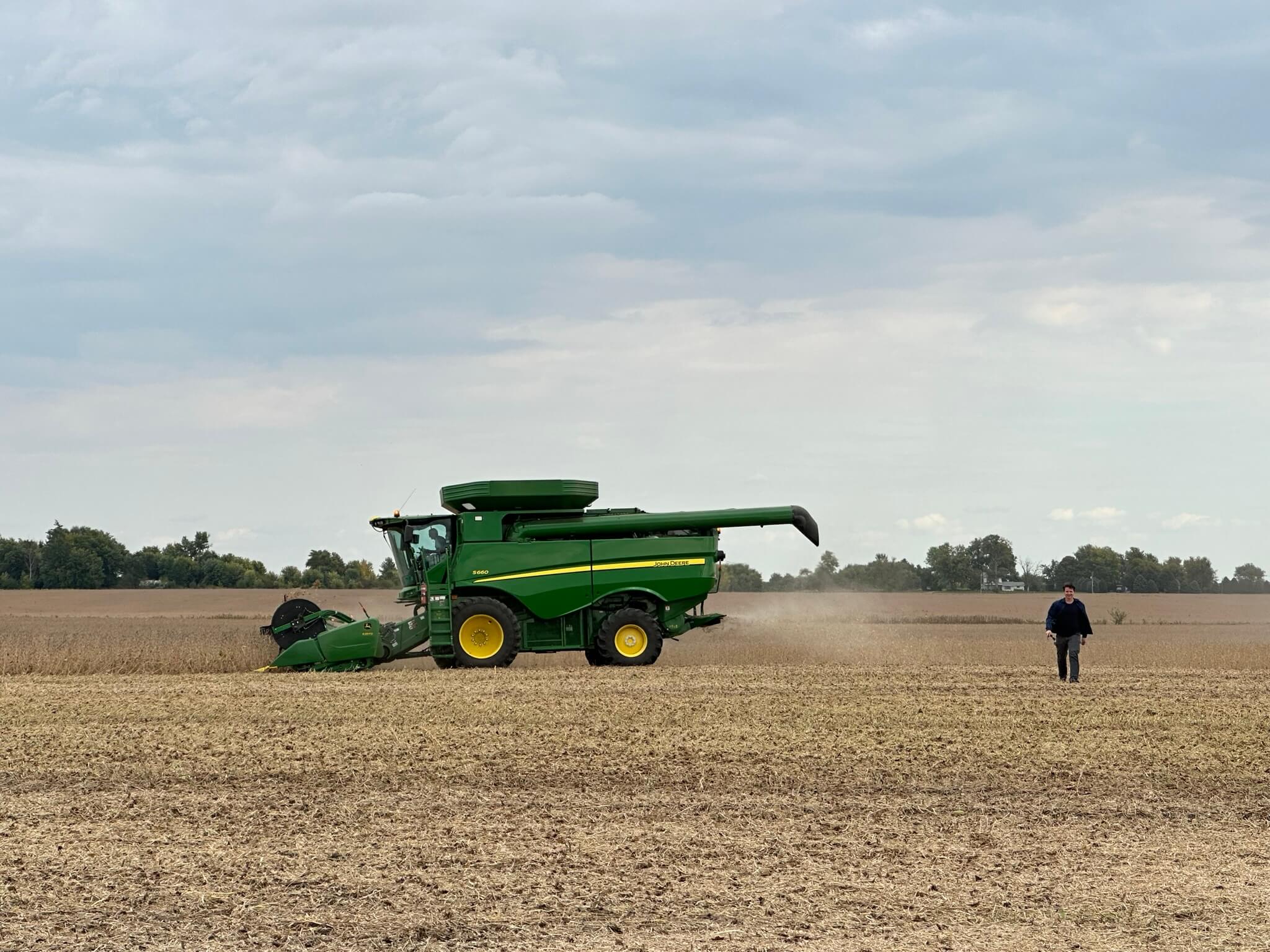 corn harvest